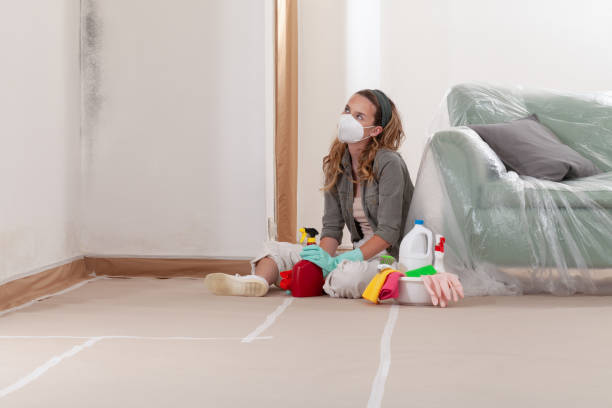 Reliable Mold Remediation contractor in Canton, MA by Car Mold Remediation